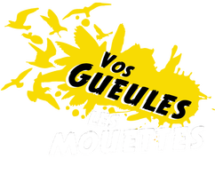 Vos Gueules Les Mouettes - Radio douarneniste
